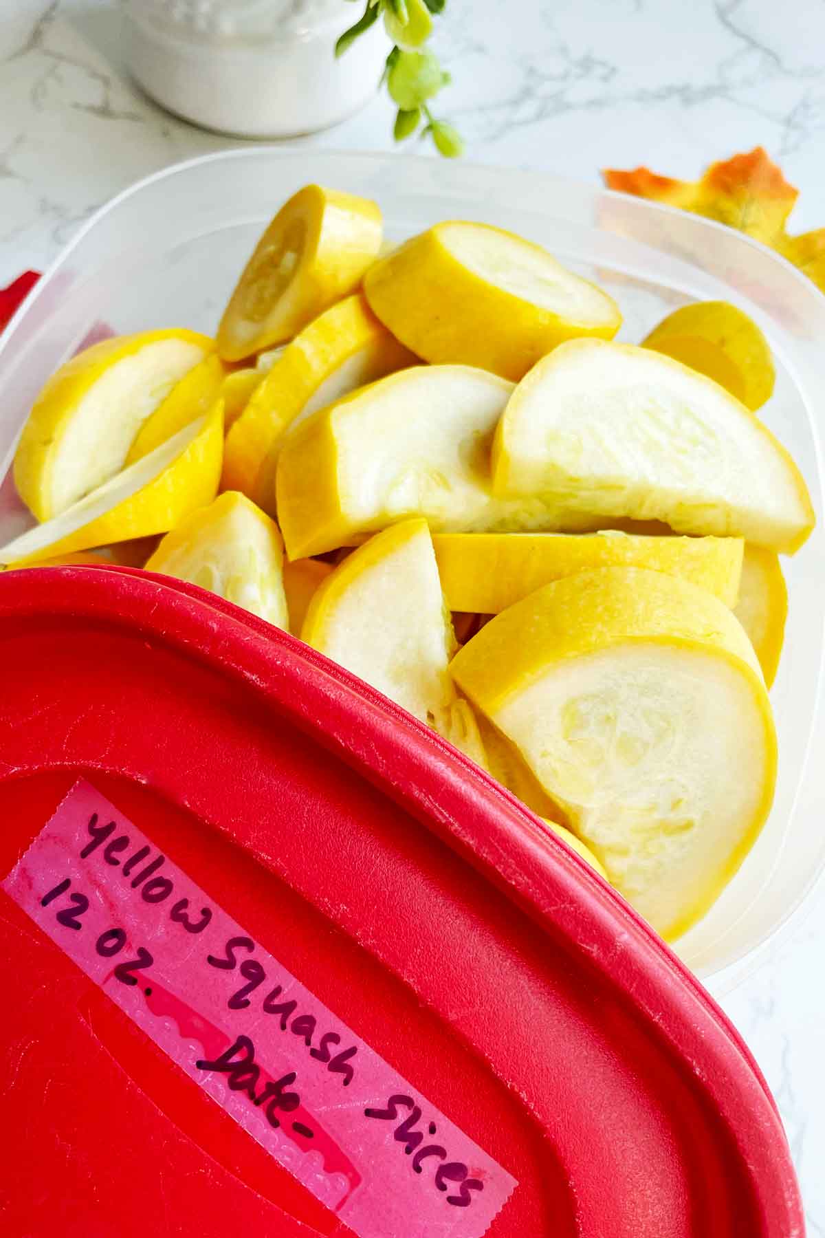 fresh cut squash.